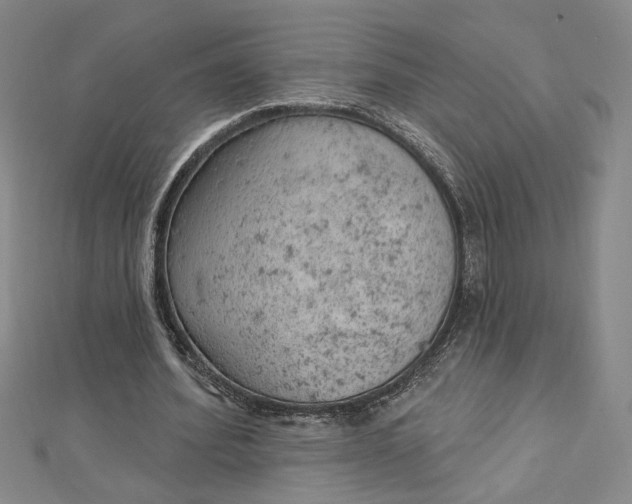 X0000112780580200909031630