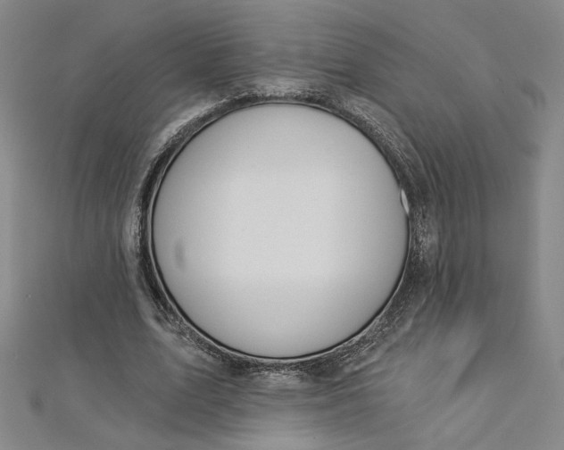 X0000112780583200909031630