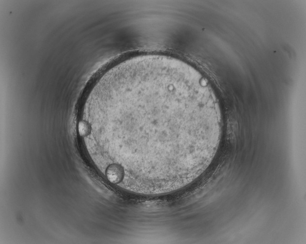 X0000112780584200909031630