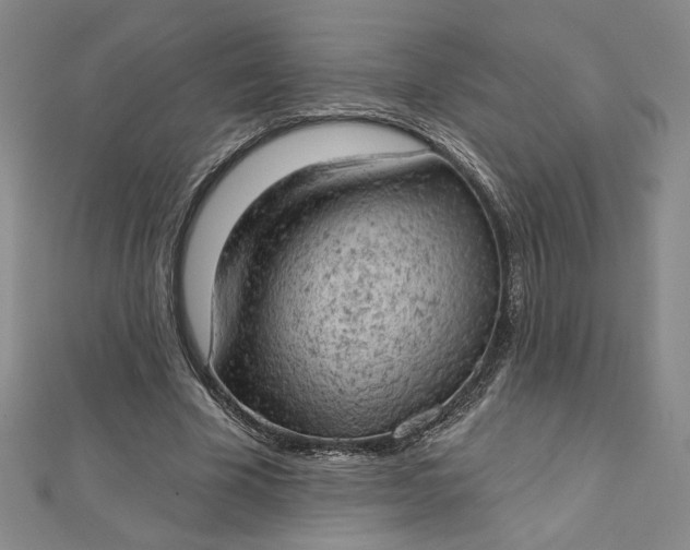 X0000112780585200909031630