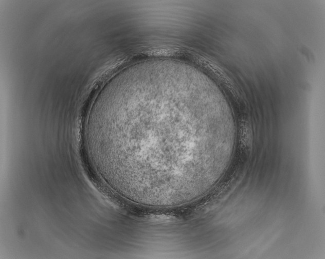 X0000112780586200909031630