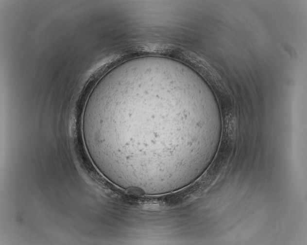 X0000112780587200909031630