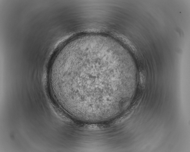 X0000112780588200909031630