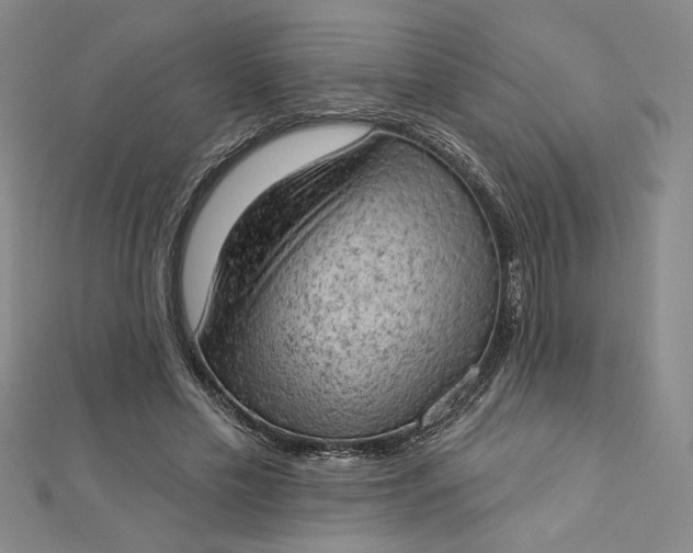 X0000112780589200909031630