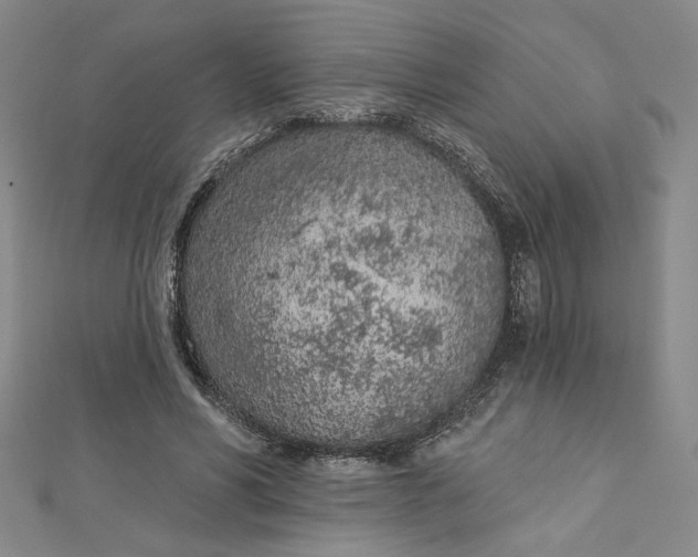 X0000112780590200909031630