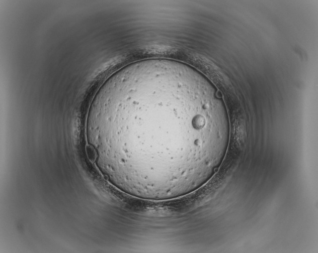 X0000112780591200909031630