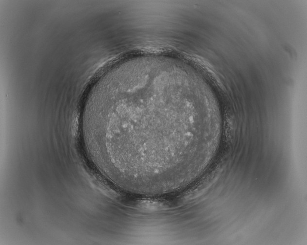 X0000112780596200909031630