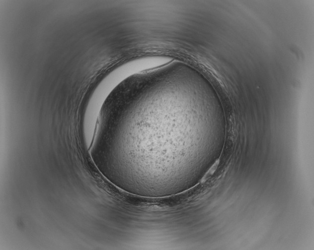 X0000112780597200909031630