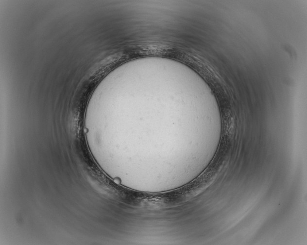 X0000112780599200909031630