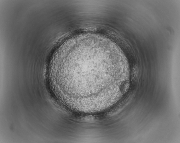 X0000112780600200909031630