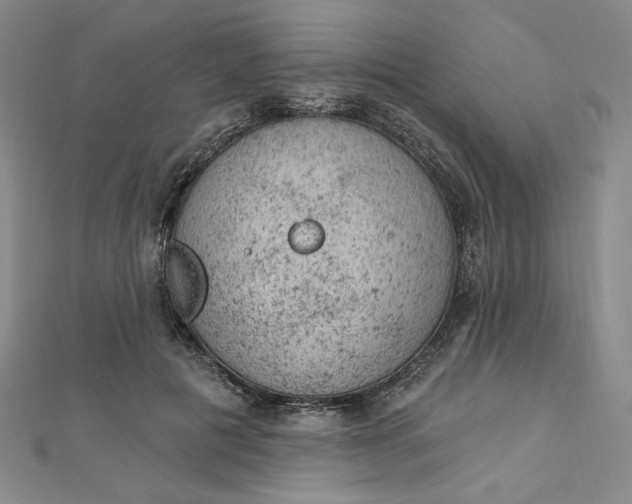 X0000112780601200909031630