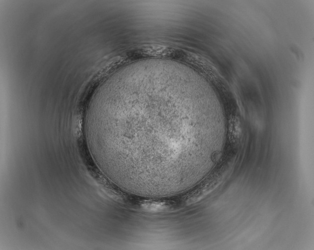 X0000112780602200909031630