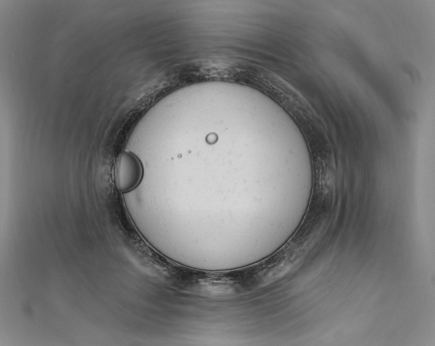 X0000112780603200909031630