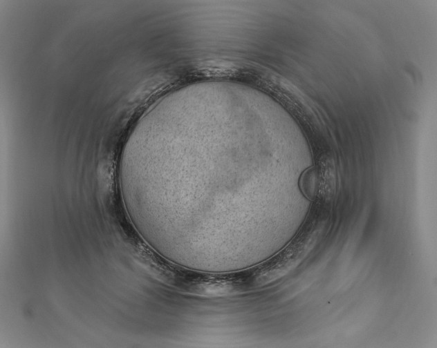 X0000112780604200909031630