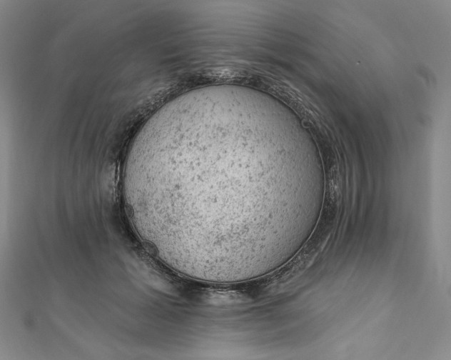 X0000112780605200909031630