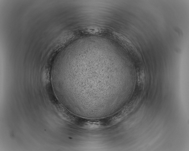 X0000112780606200909031630