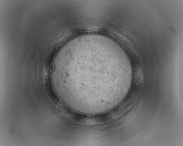 X0000112780608200909031630