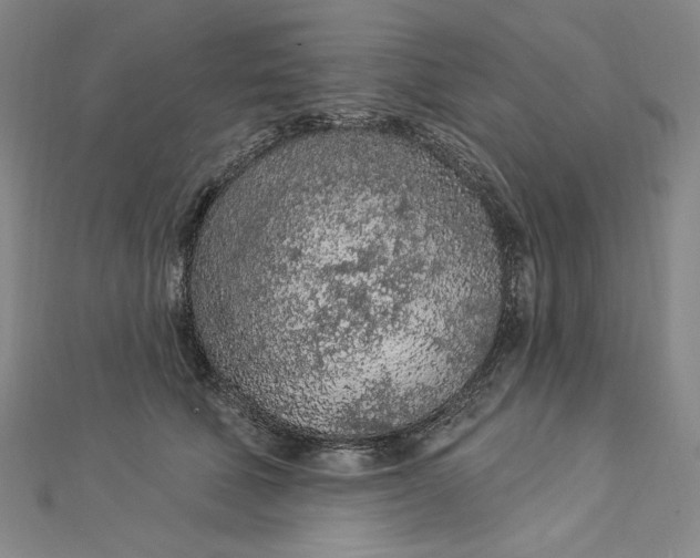 X0000112780610200909031630