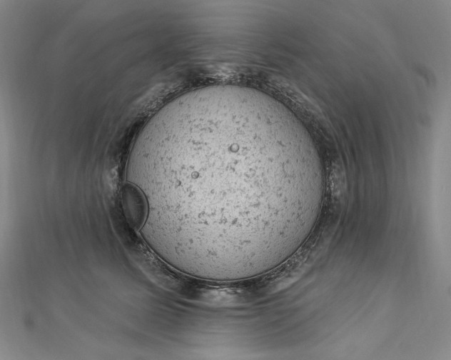 X0000112780611200909031630