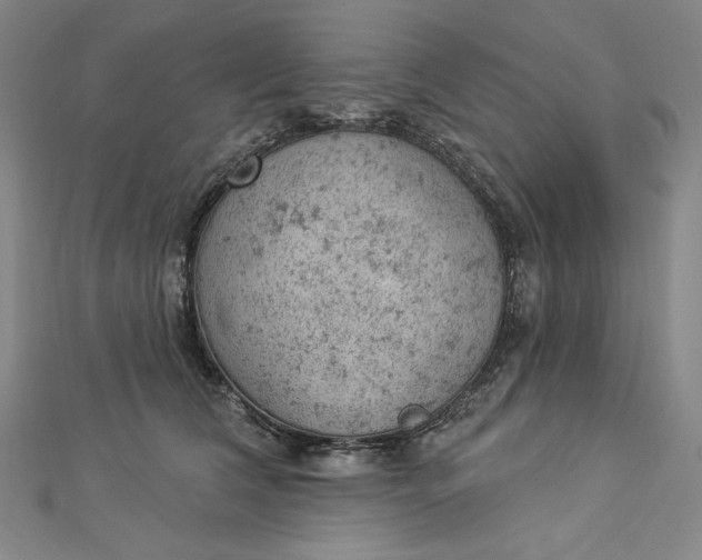 X0000112780612200909031630