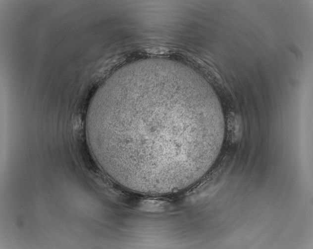 X0000112780614200909031630