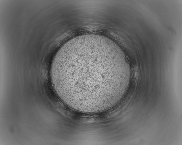 X0000112780615200909031630