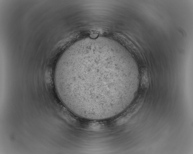 X0000112780616200909031630