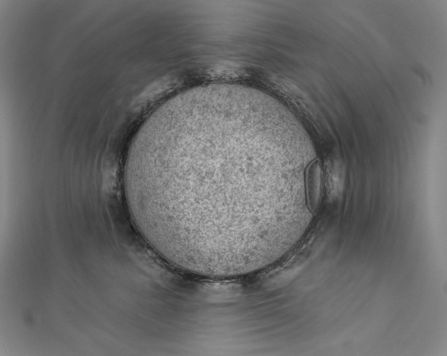 X0000112780619200909031630