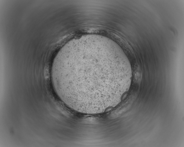 X0000112780620200909031630