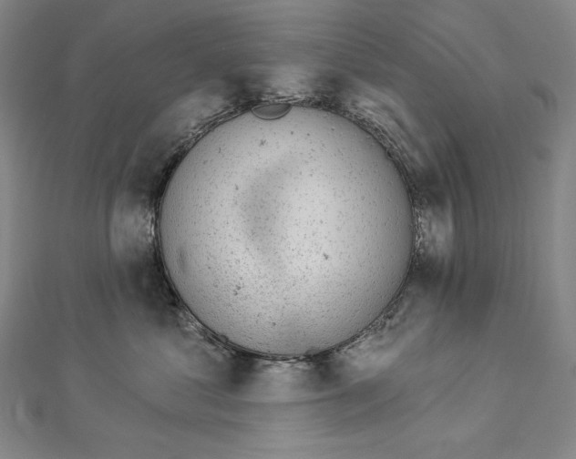 X0000112780621200909031630