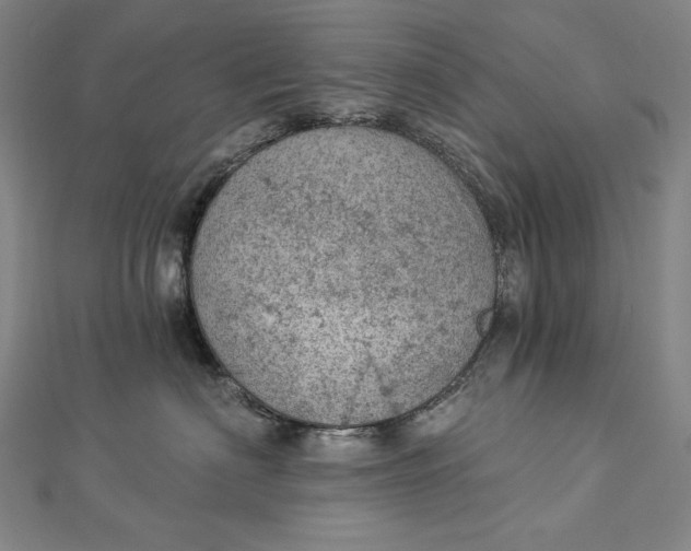 X0000112780622200909031630