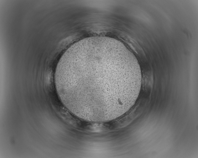 X0000112780623200909031630