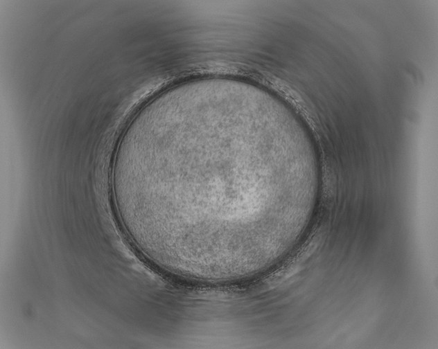 X0000112780625200909031629