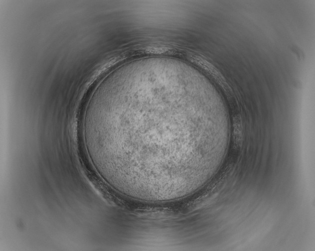 X0000112780626200909031629