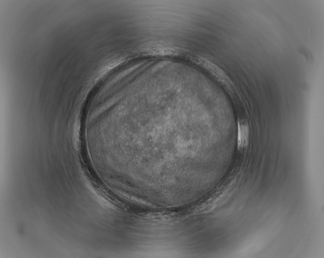 X0000112780627200909031629