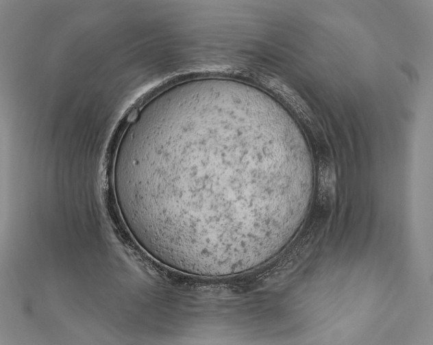 X0000112780628200909031629