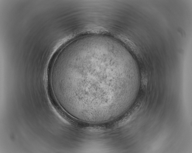 X0000112780630200909031629