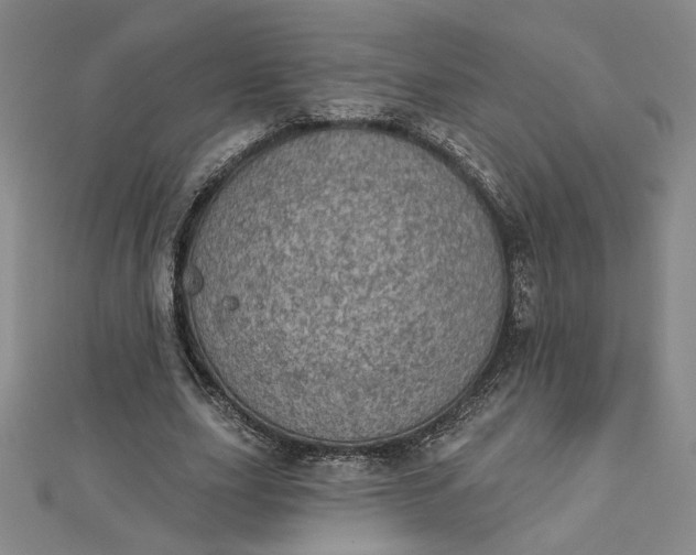 X0000112780631200909031629