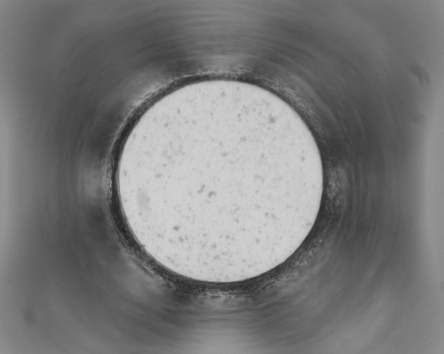 X0000112780632200909031629