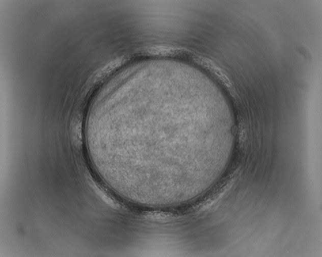 X0000112780633200909031629