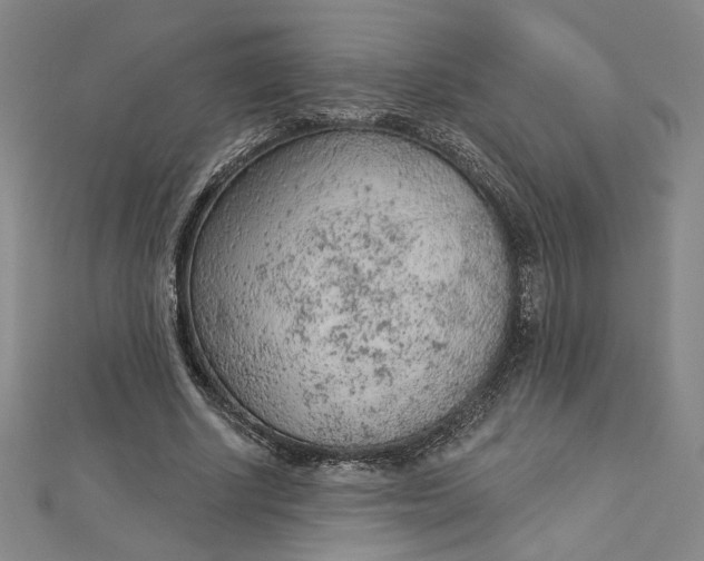 X0000112780634200909031629