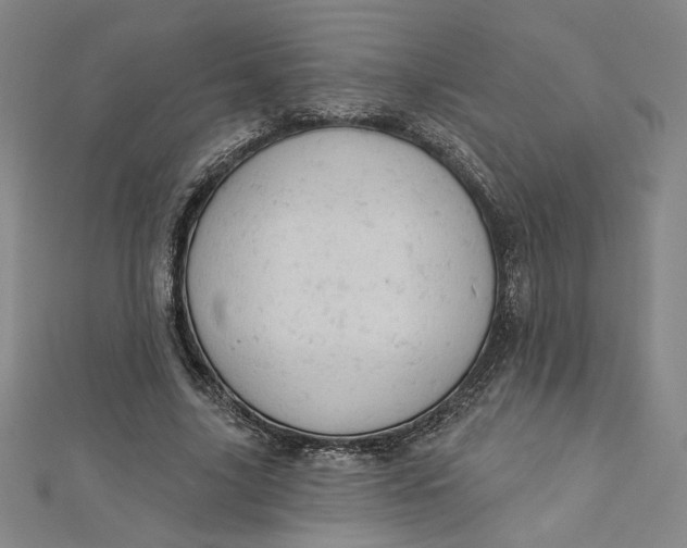 X0000112780635200909031629