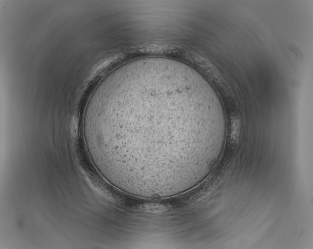 X0000112780636200909031629