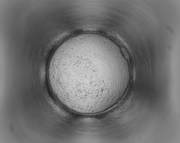 X0000112780637200909031629