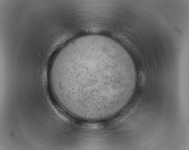 X0000112780638200909031629