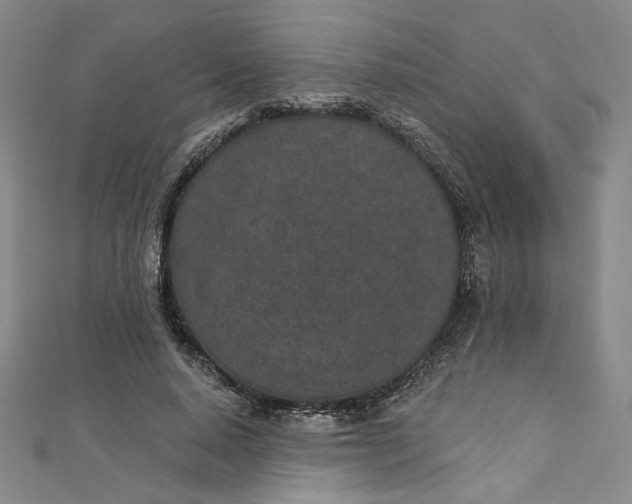 X0000112780640200909031629