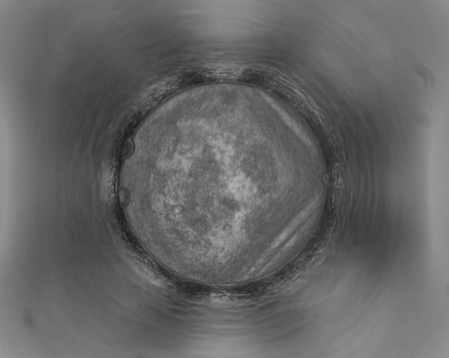 X0000112780641200909031629