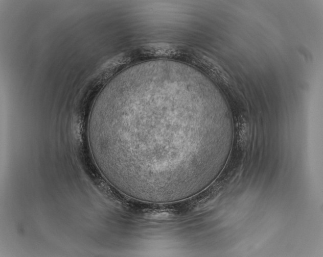 X0000112780643200909031629