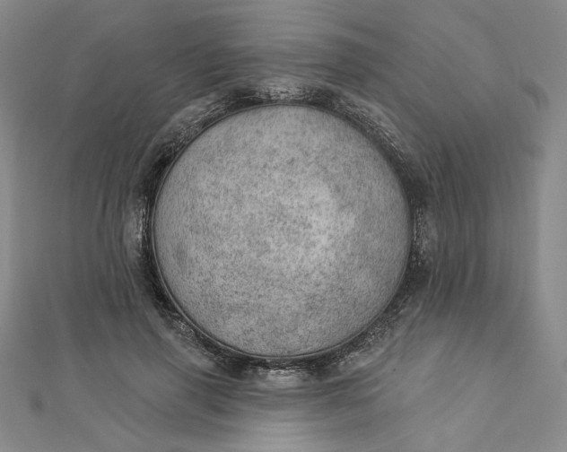 X0000112780645200909031629