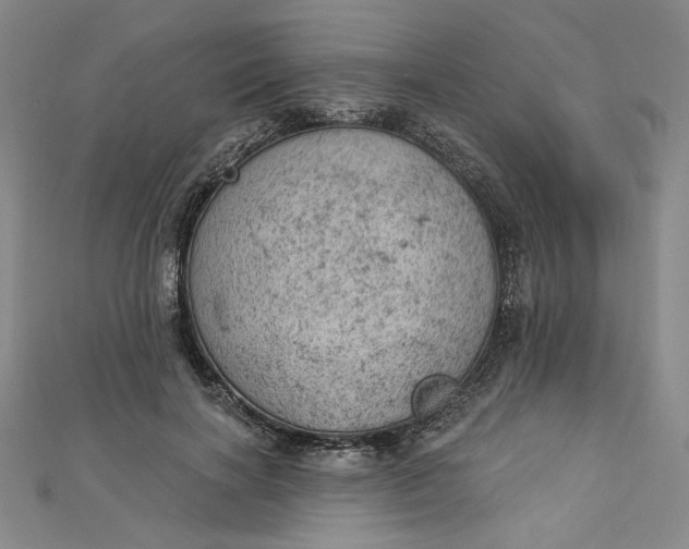 X0000112780646200909031629